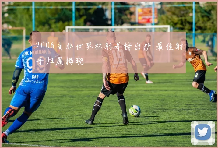 2006南非世界杯射手榜出炉 最佳射手归属揭晓