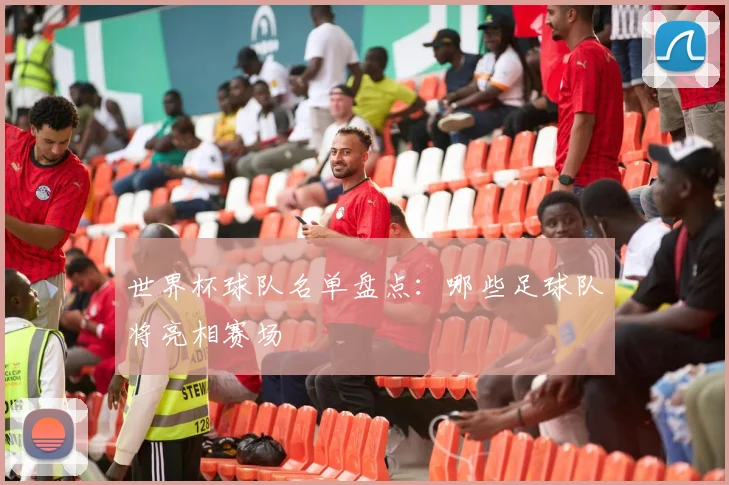 世界杯球队名单盘点：哪些足球队将亮相赛场