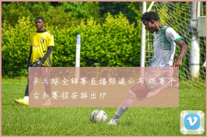 乒乓球全锦赛直播频道公布 观赛平台和赛程安排出炉