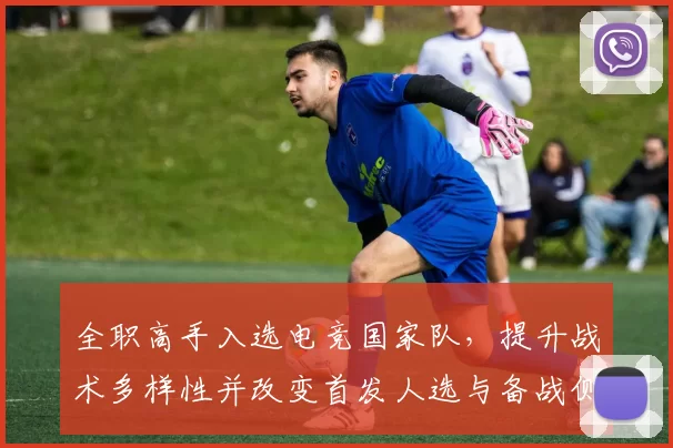 全职高手入选电竞国家队，提升战术多样性并改变首发人选与备战侧重点