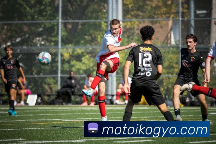 中国彩票欧洲杯停售安排公布 投注方式和兑奖期限调整影响彩民权益